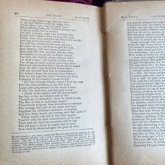 Ca 1890 The Iliad of Homer by Alexander Pope, Antique Book, Belford, Clarke & Co - Picture 9 of 10